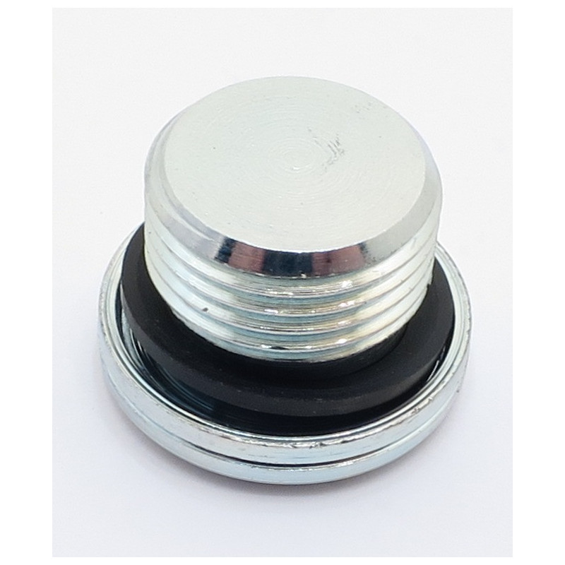 M18 x 1.5 SOCKET HEAD BLANKING PLUG